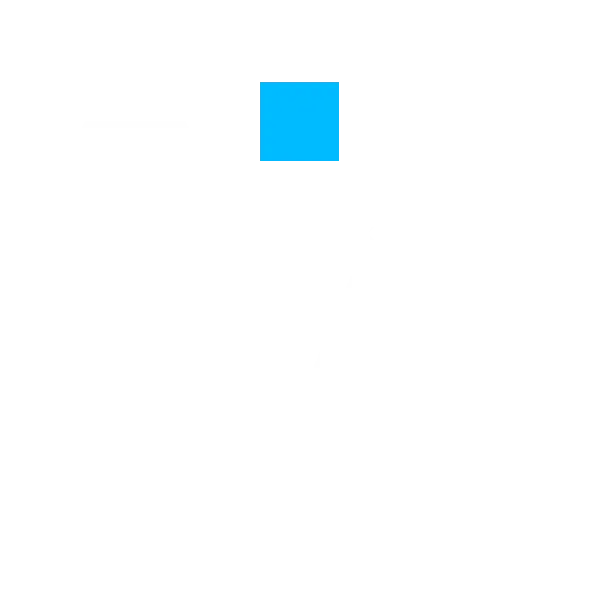 Velcord Logo